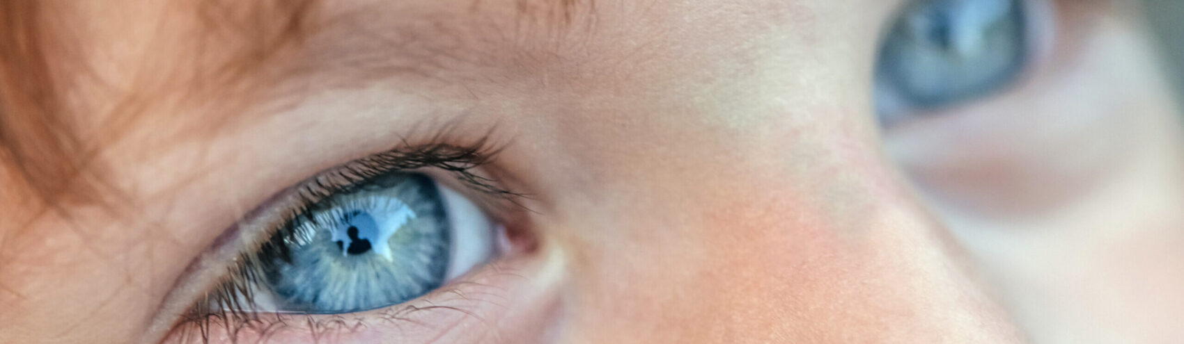 Soorten netvlieskanker en anatomie van het oog