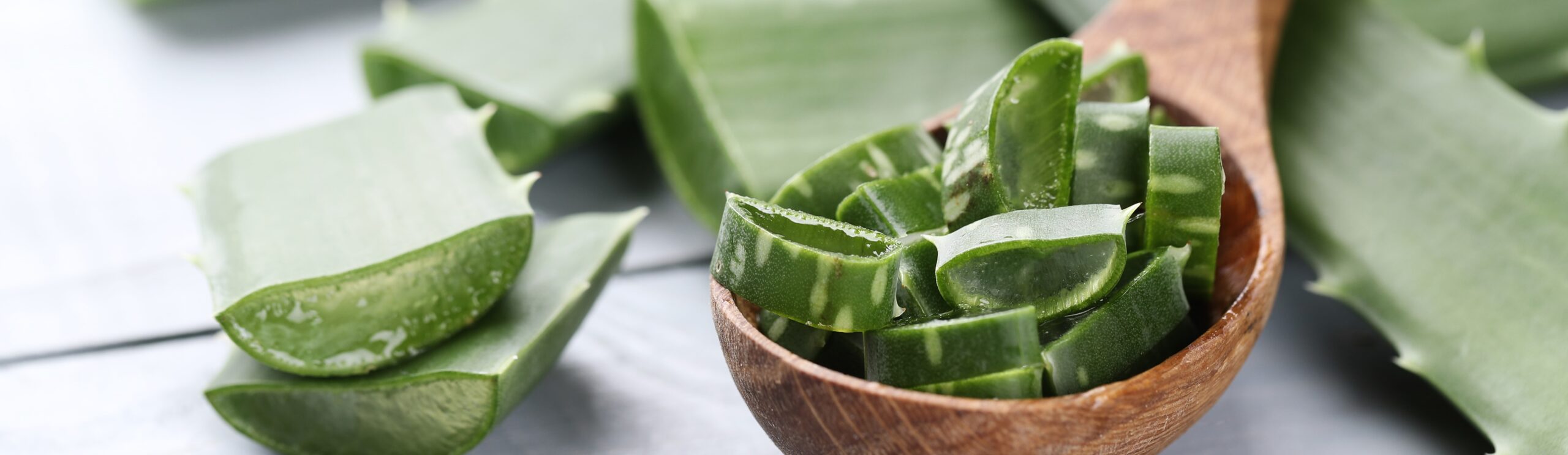 Aloe vera - Stichting tegen Kanker