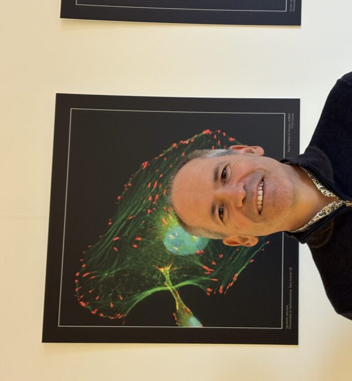 Professor Alain Chariot – ULiège